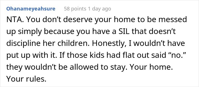 Sister-In-Law Livid She And Her 3 Kids Are Banned From Brother&rsquo;s House Due To Her Ill-Behaved Kids