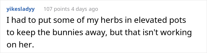 Person Livid After Neighbor&rsquo;s Girlfriend &ldquo;Helps Herself&rdquo; To Their Entire Herb Garden After Being Offered &ldquo;Some&rdquo;