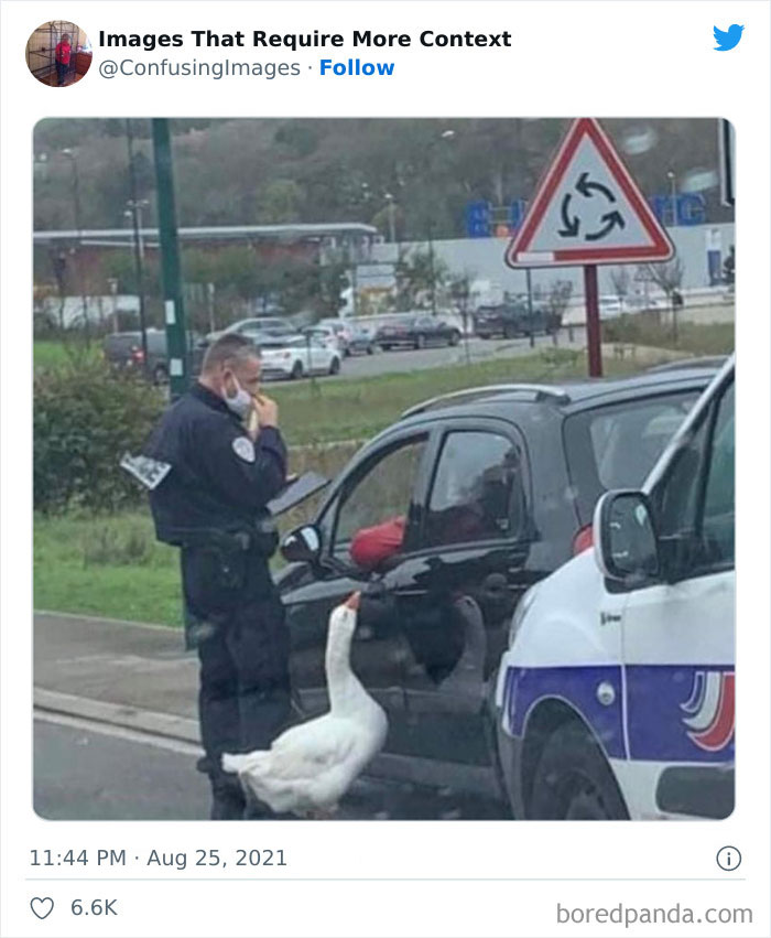 Confusing-Images-Require-More-Context