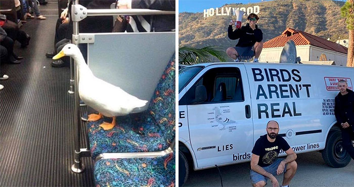 30 Funny And Confusing Pics Posted By The “Images That Require More Context” Twitter Page (New Pics)