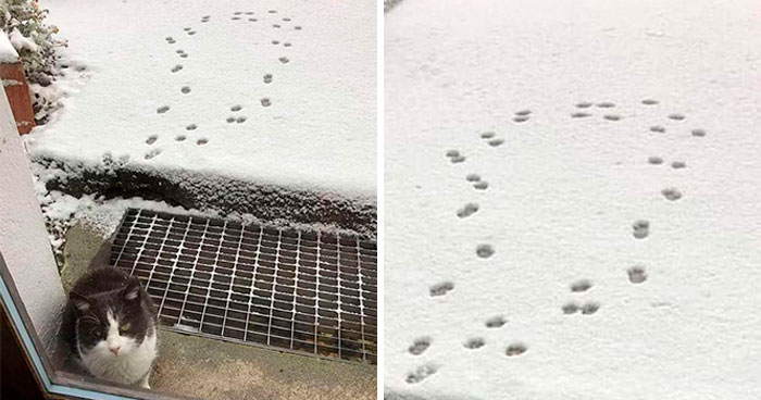 50 Pictures That Are Worth More Than A Thousand Words