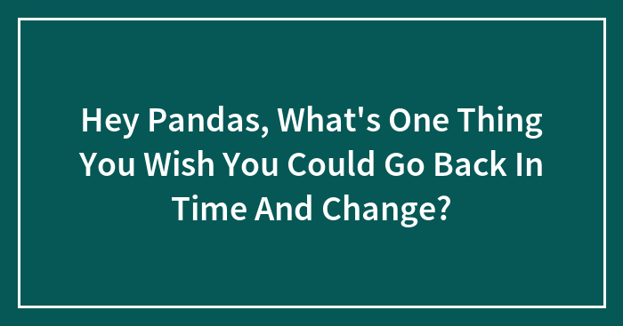 Hey Pandas, What’s One Thing You Wish You Could Go Back In Time And Change?