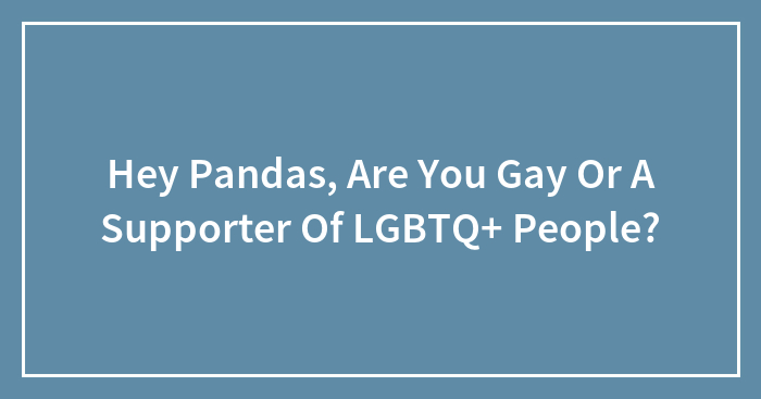 Hey Pandas, Are You Gay Or A Supporter Of LGBTQ+ People?