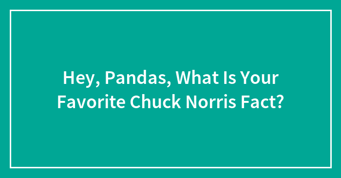 Hey, Pandas, What Is Your Favorite Chuck Norris Fact? (Closed)
