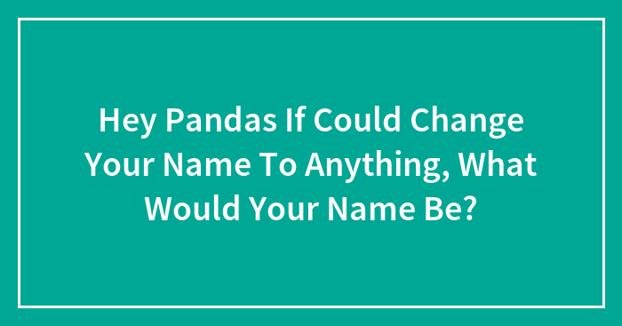 Hey Pandas If Could Change Your Name To Anything, What Would Your Name Be? (Closed)
