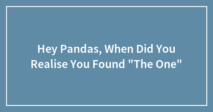 Hey Pandas, When Did You Realise You Found “The One” (Closed)
