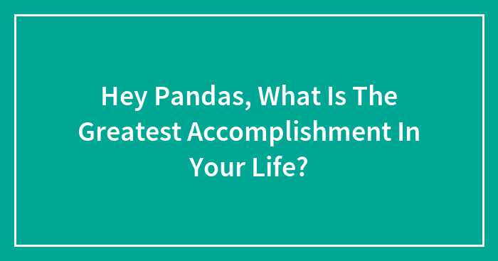 Hey Pandas, What Is The Greatest Accomplishment In Your Life? (Closed)