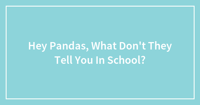Hey Pandas, What Don’t They Tell You In School? (Closed)