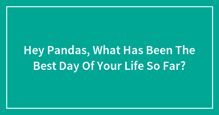 Hey Pandas, What Has Been The Best Day Of Your Life So Far? (Closed)