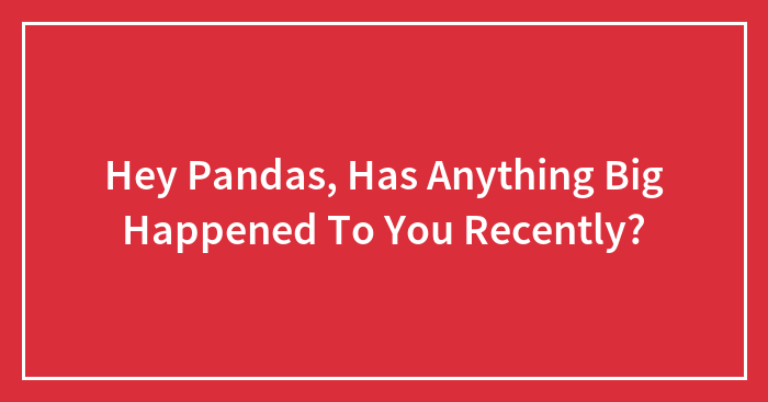 Hey Pandas, Has Anything Big Happened To You Recently? (Closed)