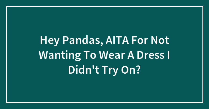 Hey Pandas, AITA For Not Wanting To Wear A Dress I Didn’t Try On? (Closed)