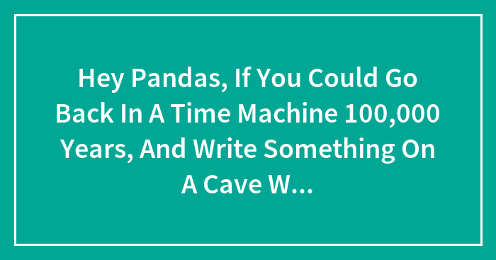 Hey Pandas, If You Could Go Back In A Time Machine 100,000 Years, And Write Something On A Cave Wall For A Archaeologist To Find, What Would You Write? (Closed)