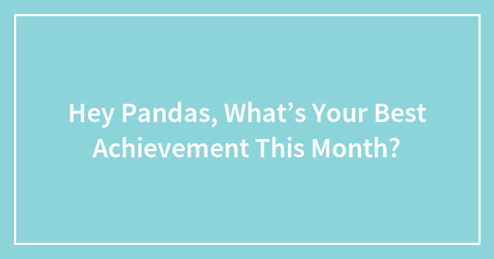 Hey Pandas, What’s Your Best Achievement This Month? (Closed)