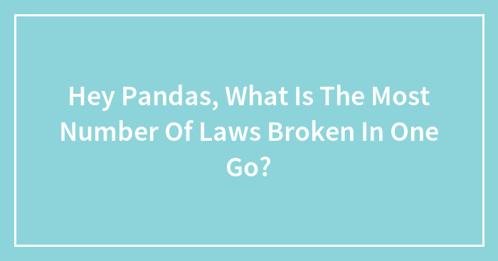 Hey Pandas, What Is The Most Number Of Laws Broken In One Go? (Closed)