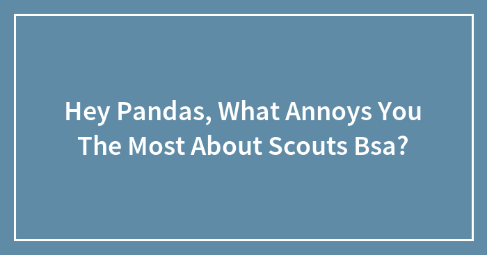 Hey Pandas, What Annoys You The Most About Scouts Bsa? (Closed)