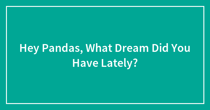 Hey Pandas, What Dream Did You Have Lately? (Closed)