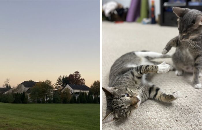 I Photograph The Little Moments, Here Are 15 Of My Favorite Ones