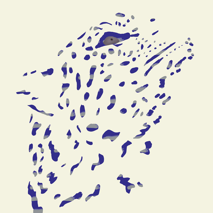 I Drew 9 Spotted Amur Leopards