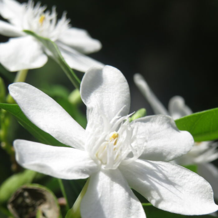 Hey Pandas, Post Your Best Nature Picture (Closed)