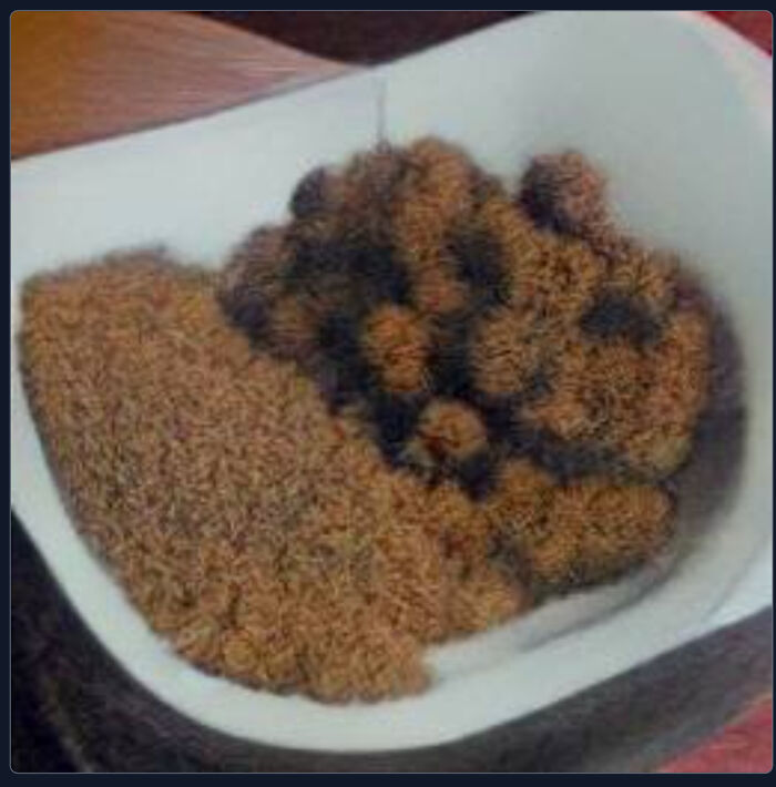 This...i Have No Words