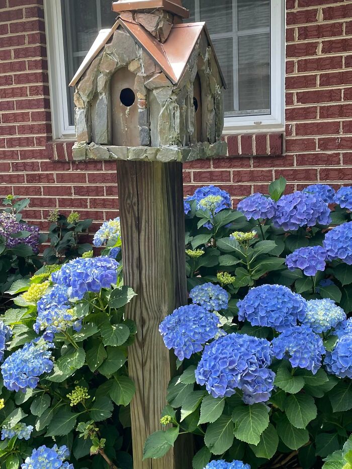 Creative-Gardening-Pictures