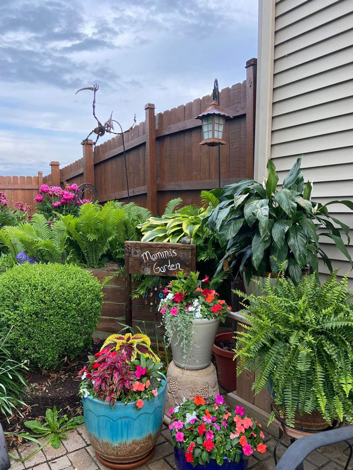 Creative-Gardening-Pictures