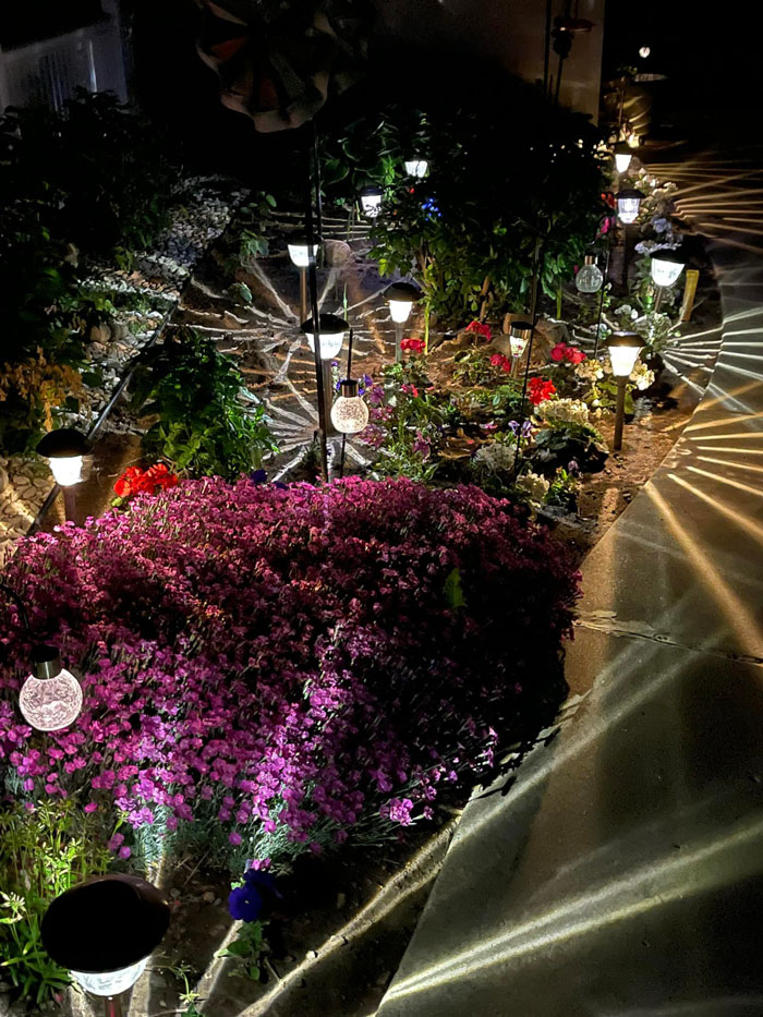 Creative-Gardening-Pictures