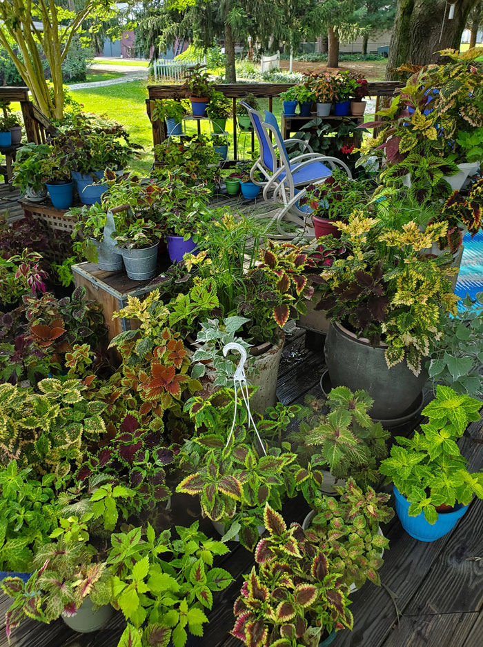 Creative-Gardening-Pictures