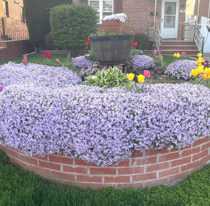 Creative-Gardening-Pictures