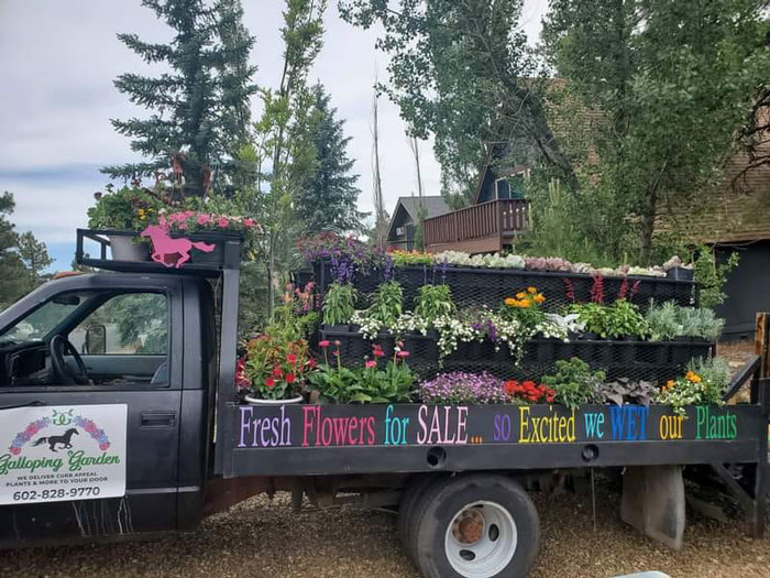 Creative-Gardening-Pictures