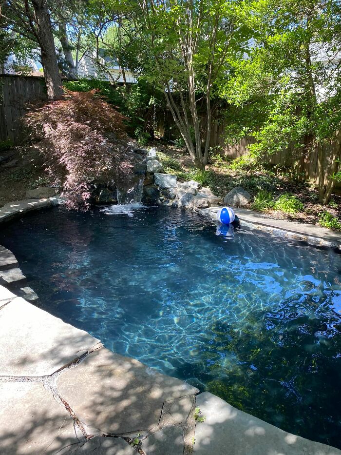 Creative-Gardening-Pictures