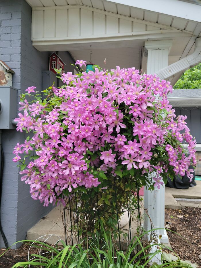 Creative-Gardening-Pictures