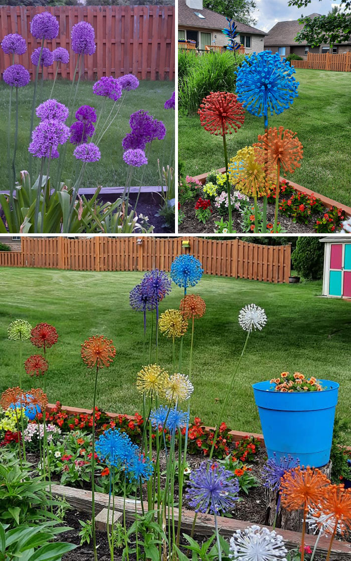 Creative-Gardening-Pictures