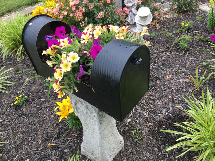 Creative-Gardening-Pictures