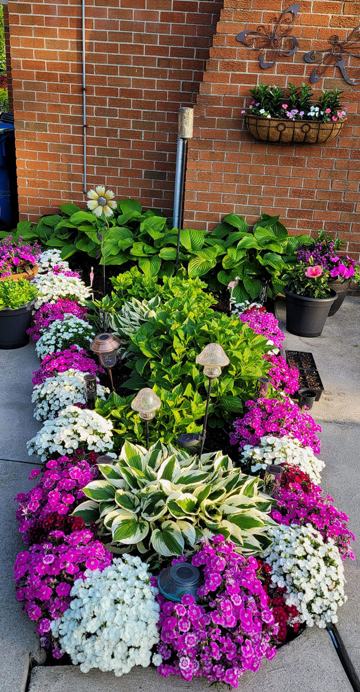 Creative-Gardening-Pictures