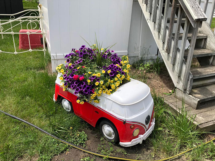 Creative-Gardening-Pictures