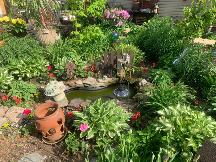 Creative-Gardening-Pictures