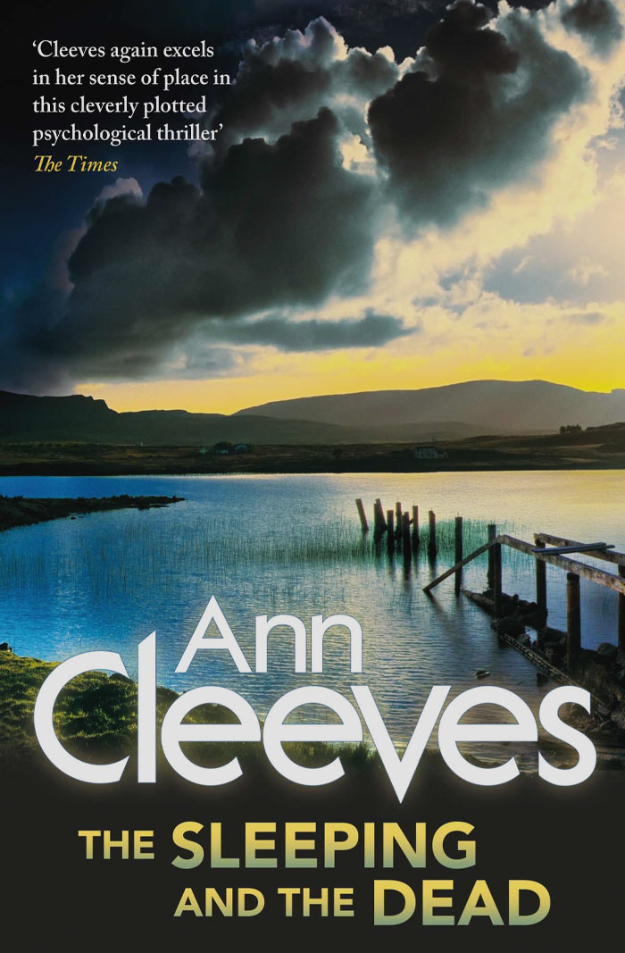 Book cover for "The Sleeping And The Dead" 