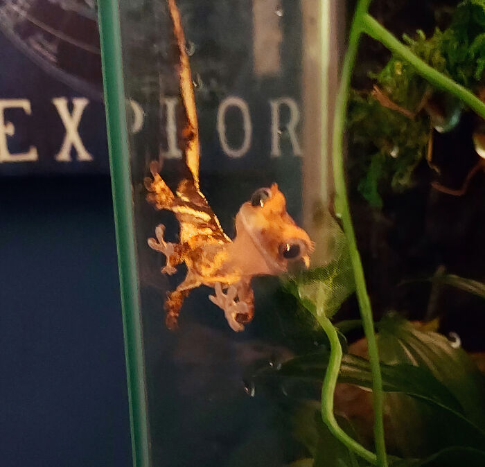 Really Important That I Posted This Of Julian