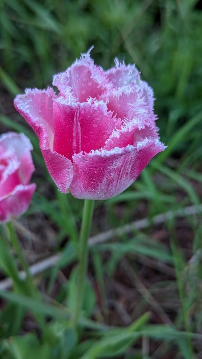 Some Amateur Photography