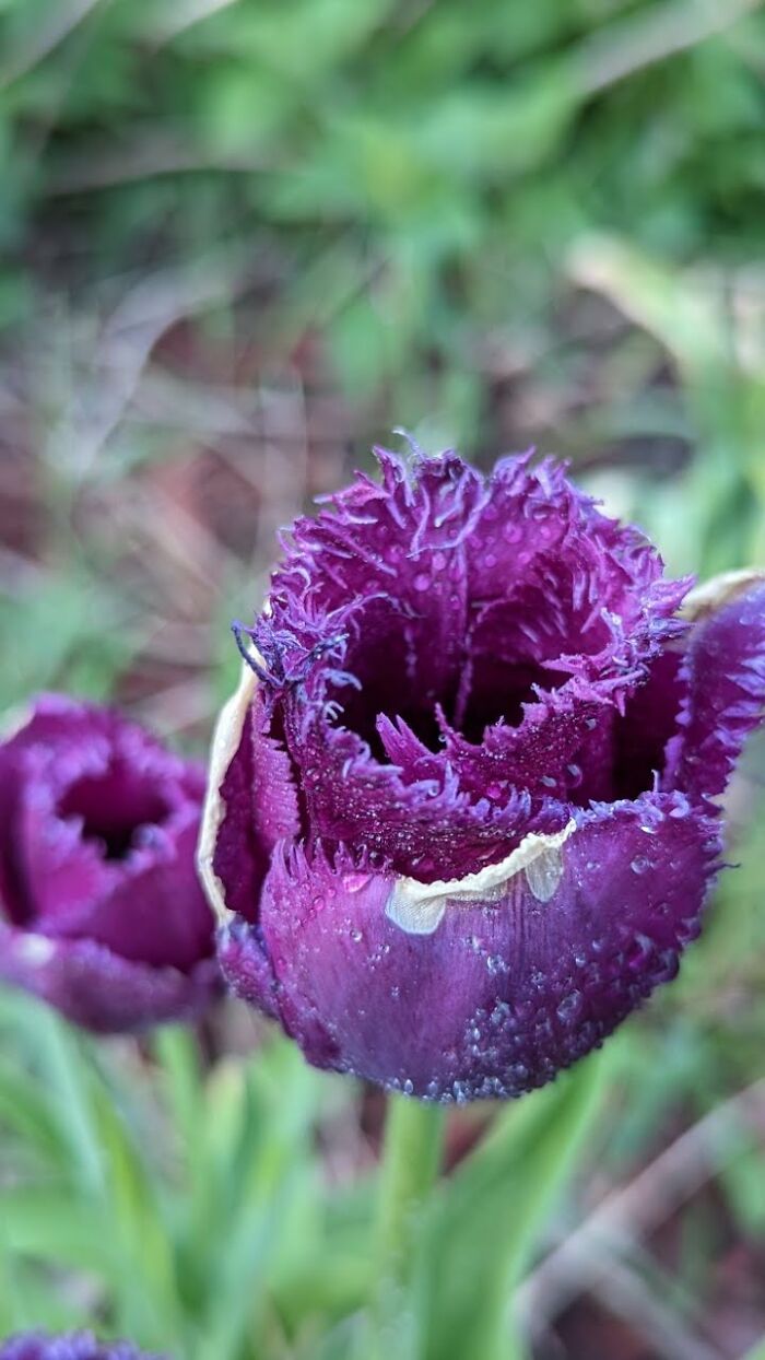 Some Amateur Photography