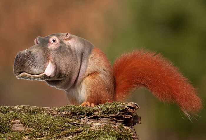 So, I Made Some Animal Hybrids (Swinosaurs, Hipmunks And More...)