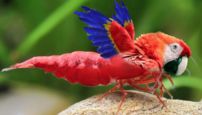 So, I Made Some Animal Hybrids (Swinosaurs, Hipmunks And More...)