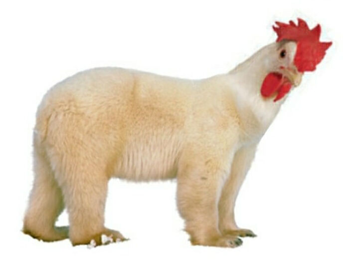 So, I Made Some Animal Hybrids (Swinosaurs, Hipmunks And More...)