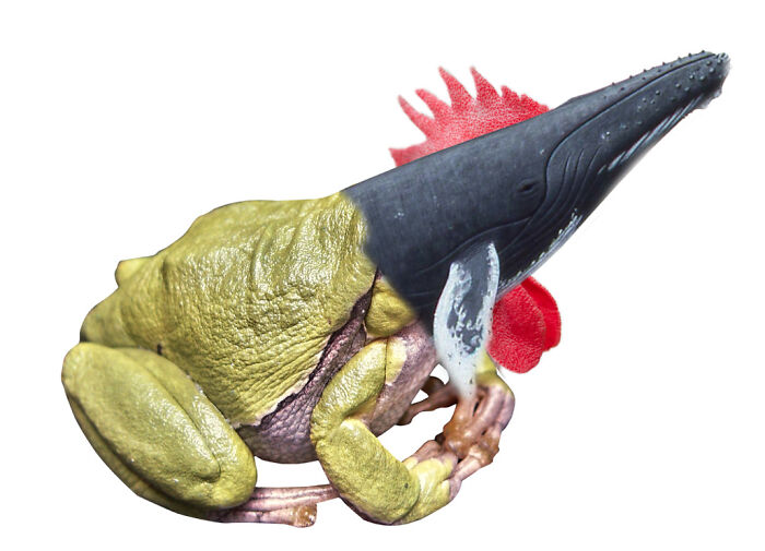 So, I Made Some Animal Hybrids (Swinosaurs, Hipmunks And More...)