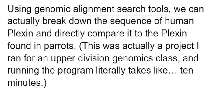 Netizens Are Loving This Humorous Tumblr Post Dedicated To The Intellectual Contrast Between Crows And Keas
