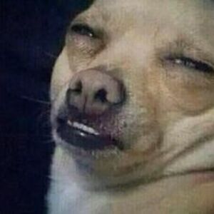 leannejohnson78 avatar