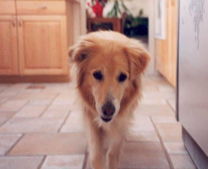 ‘Hoy aprendí’: 30 nuevos datos que demuestran que nunca es tarde para aprender algo nuevo