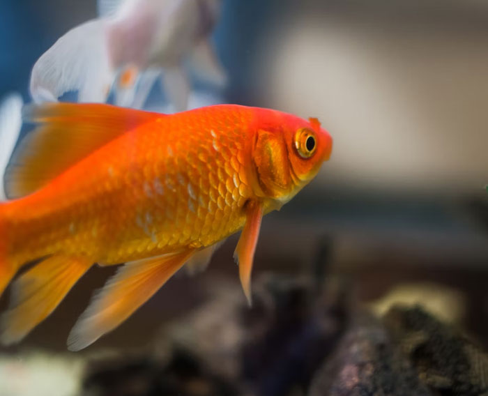 40 New ‘Today I Learned’ Facts That Prove It’s Never Too Late To Learn Something New