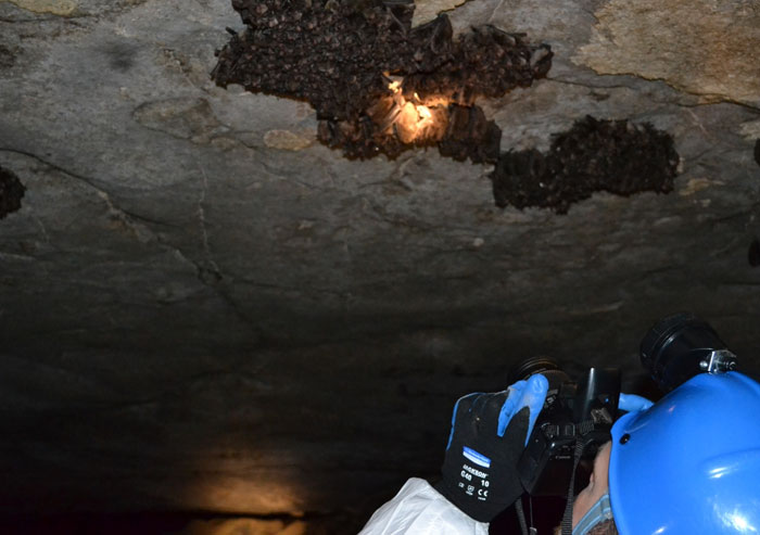 ‘Hoy aprendí’: 30 nuevos datos que demuestran que nunca es tarde para aprender algo nuevo